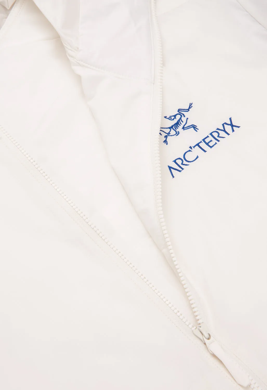 Arc'teryx Men's Atom SL Hoody - Arctic Silk / Vitality